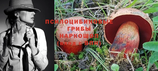 a pvp Армянск