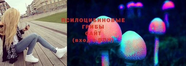 a pvp Армянск
