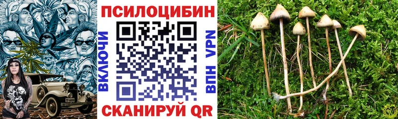Галлюциногенные грибы мицелий  Новотроицк 